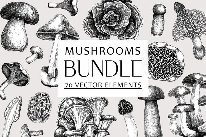 BUNDLE - Mushrooms. Vector Sketches
